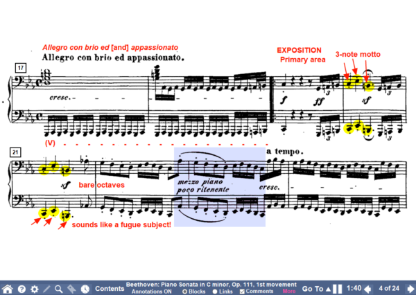 Screenshot of an Interactive Score of Beethoven's Piano Sonata in C minor