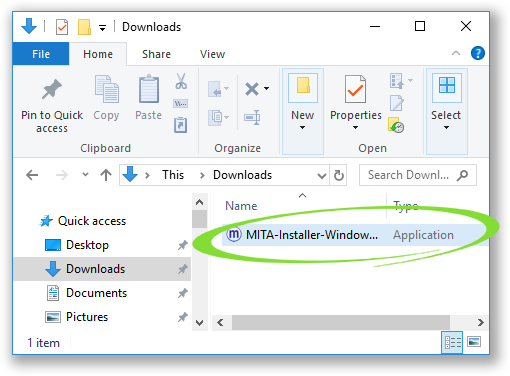 Screenshot of the Downloads folder, with MITA circled